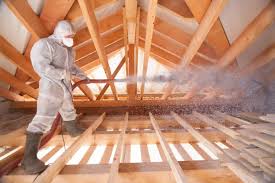 Best Attic Insulation Installation in Waterloo, NE